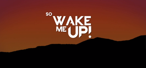 Image result for wake me up avicii