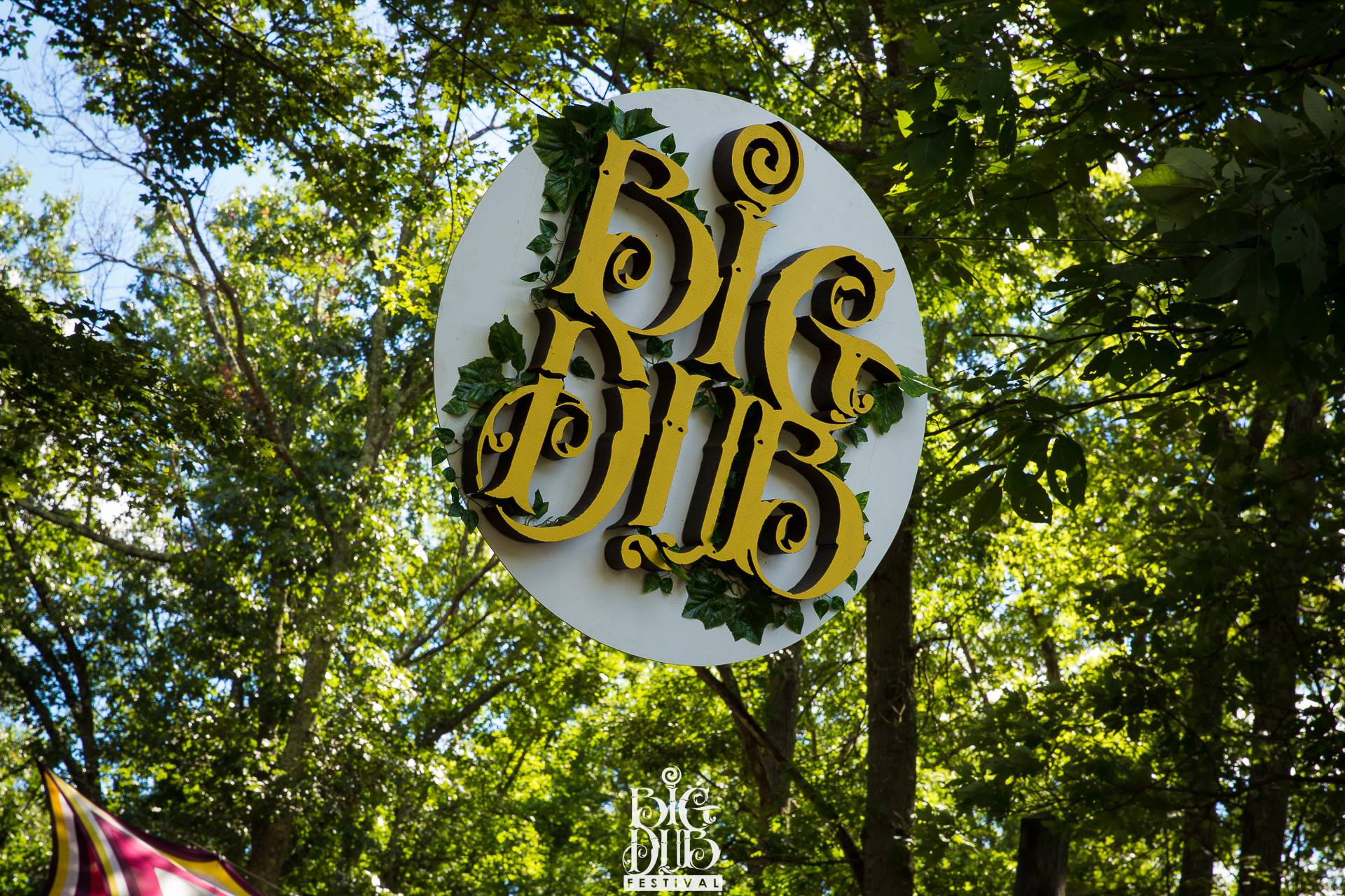 Big Dub Festival All Odds for One of Their Best Years Yet