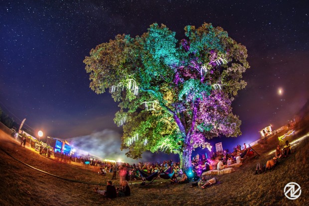 counterpoint 2015 night tree