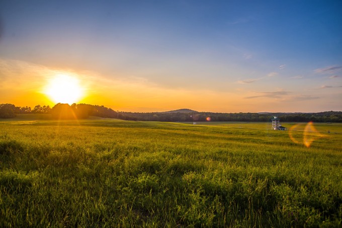 counterpoint-kingston-downs