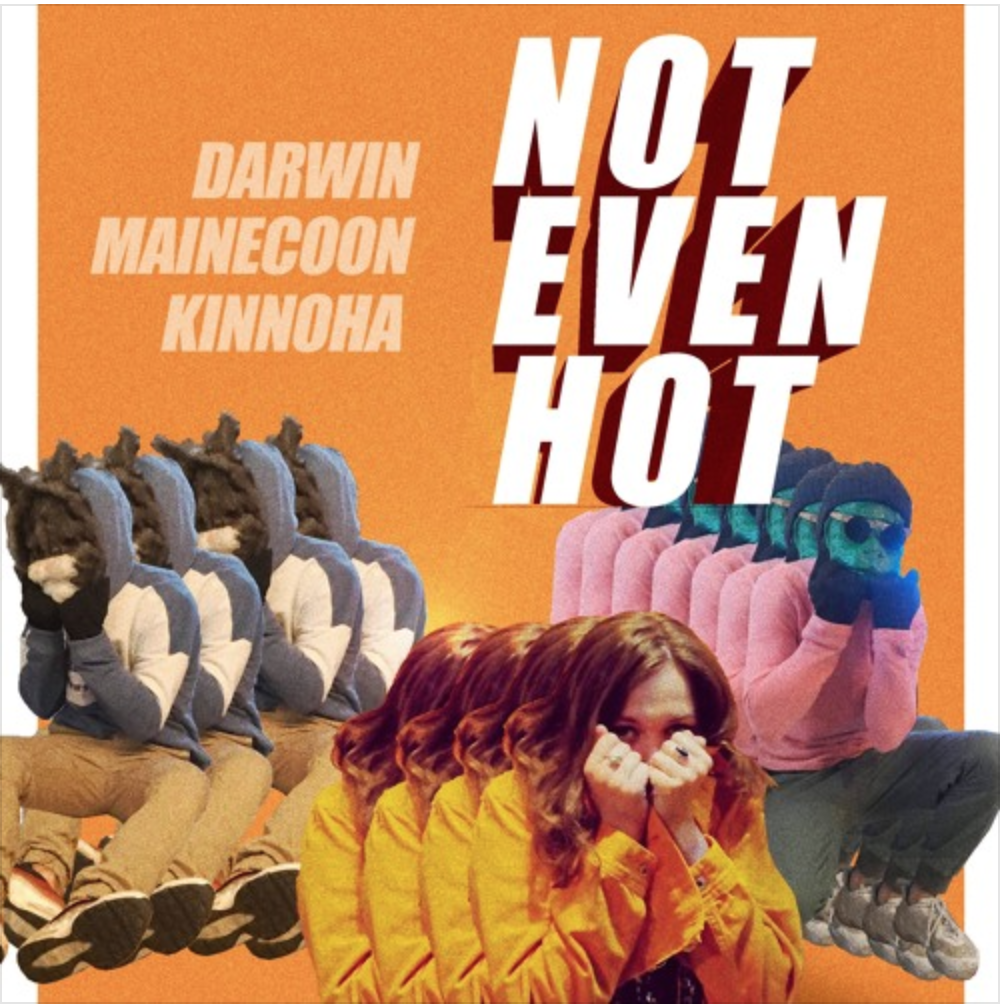 Darwin X Mainecoon Team Up for Single “Not Even Hot” on Paradise Circus