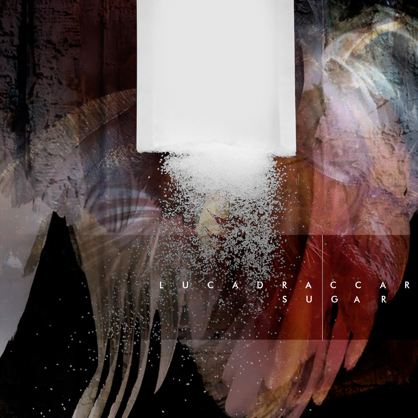 Luca Draccar Drops Fascinating Electronic Release ‘Sugar’ EP