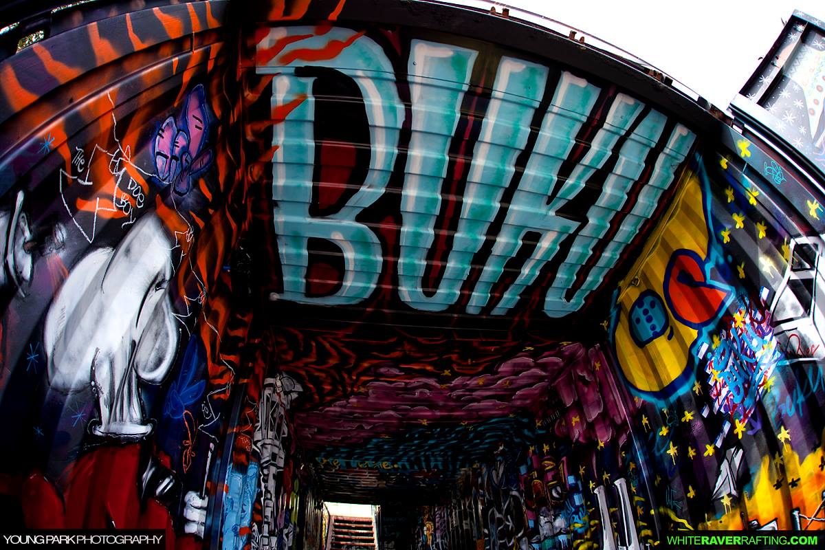 5 Reasons Why Festival Fans Love BUKU Music + Art Project